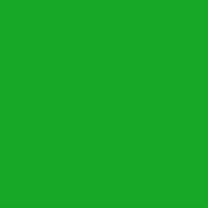 VINILO TEXTIL BR-FLEX VERDE CL - ROLLO 51CMX30,5CM