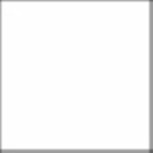 VINILO TEXTIL BR-FLEX BLANCO- ROL.51CMX30,5CM